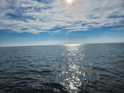Perfect light tackle conditions in Oriental NC today!