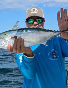 A single little tunny fish caught near Oriental
