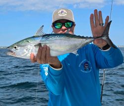 Little Tunny, 24-inch fish caught while fishing in NC
