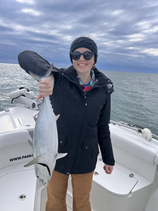 Nice Little Tunny on light tackle! Great day on the water near Finz Grill.