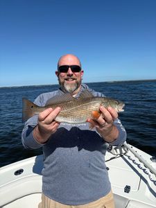 Redfish caught on fishing charter in Oriental NC waters