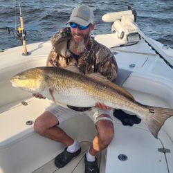 Redfish caught while fishing in NC