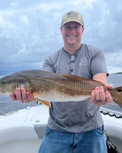 Redfish caught in NC, recreational fishing