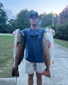 Two redfish caught on a fishing tour in NC