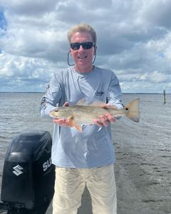 Redfish caught on a fishing tour in Oriental