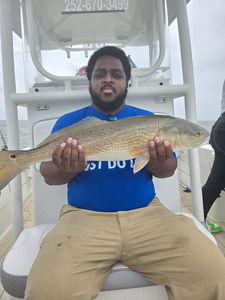 Hooked a big Redfish with some light tackle at Lawson Creek Park!