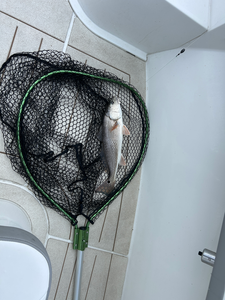 Light tackle triumph: Redfish on the line despite stormy skies!