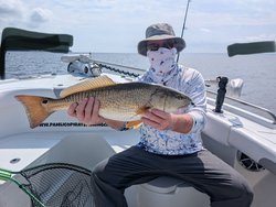Battling the redfish in Oriental, NC with some light tackle