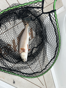 Reeling in the redfish with finesse on a stormy Oriental day!