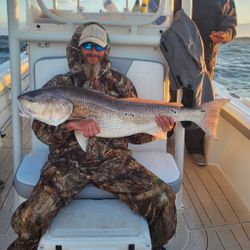 A single redfish caught during a fishing tour in Oriental