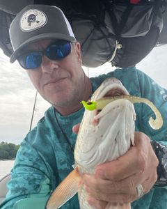 Scenic landscape with fishing tours in North Carolina