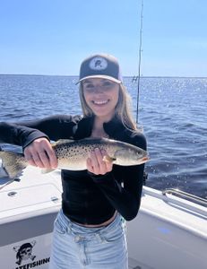 A single sea trout fish caught during an Oriental fishing tour