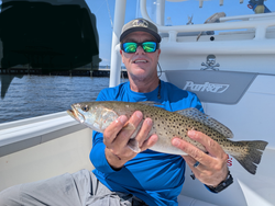 An impressive spotted weakfish snagged with light tackle in Oriental, NC