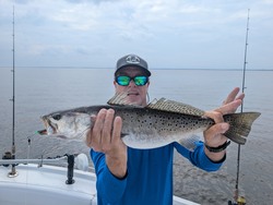 Hooked a hefty Spotted Weakfish in Oriental with the Light Tackle setup.