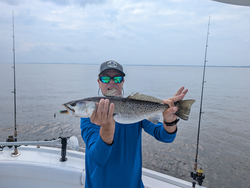 A whopping 20-inch spotted weakfish caught with light tackle in Oriental, NC