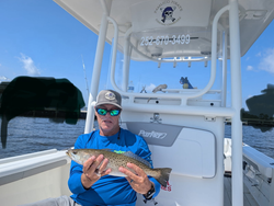 A spotty weakfish landed after a tenacious light tackle battle in Oriental!