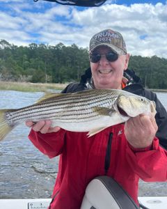 Striped Bass caught on fishing tour in Oriental