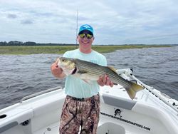 Striped bass caught during fishing tour in Oriental