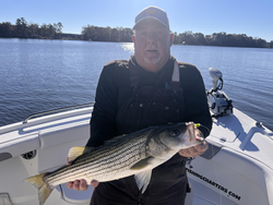 Nice striped bass on light tackle! Clear conditions made for an exciting adventure.