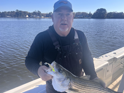 Nice striped bass on light tackle in perfect conditions!