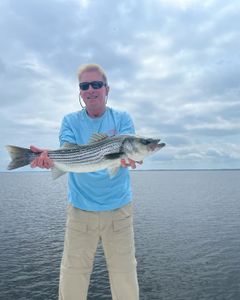 Striped bass caught in NC during fishing tour