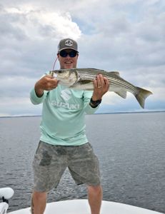 Striped bass caught in NC while fishing and on tours