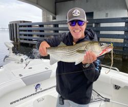 Striped bass caught on fishing charter in Oriental NC waters