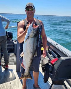 Chinook salmon caught in OR