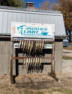 Walleye Charters