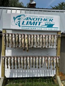 Six fish caught in OH while fishing