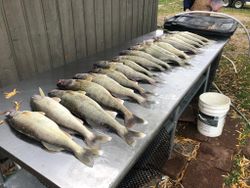 2 fish caught fishing in OH