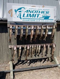 Sauger fish caught in OH, fishing