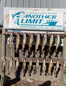 17 fish caught on fishing trip in OH