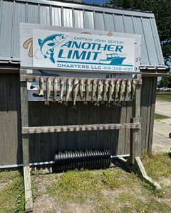 Chasing trophy Walleye in Lake Erie.