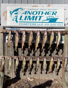 Lake Erie Fishing Charters Prices