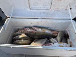 3 fishing hooks in Ohio