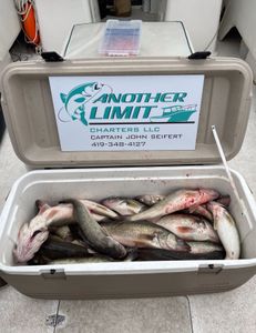 Four fishing rods with line in the water in Ohio