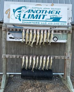 6 fish caught in a lakeside location at Marblehead