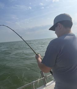 Scenic landscape photography of OH countryside