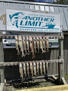 Anglers jigged, trolled, and drifted their way to a 10-Walleye day at Rocky Point RV Park and Marina!