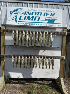 Walleye blasted today at Rocky Point - fishing heaven!