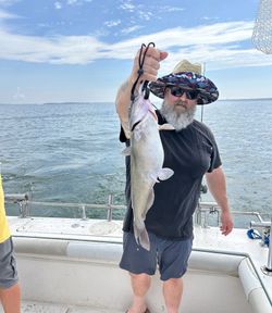 Angler holding a white catfish in OH