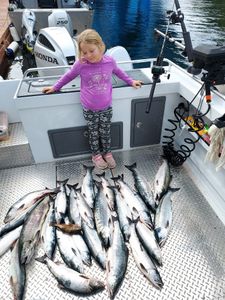 7 chinook salmon caught while fishing in big rapids