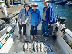 Coho salmon caught while fishing in Big Rapids