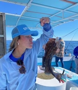 Saltwater breeze and steady bites.