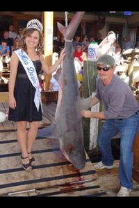 Hooked a Nice Shark Fishing in Destin, FL