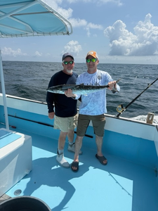 Reeled in a huge king mackerel on a partly cloudy day!