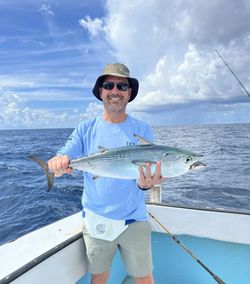 Little Tunny caught fishing in Destin FL waters