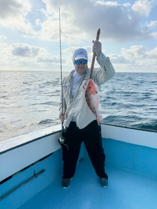 Landed a feisty red snapper while deep sea fishing, jigging, and trolling in Destin, FL!