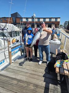 Fishing charter success with large Chinook salmon catch at Port Washington WI marina